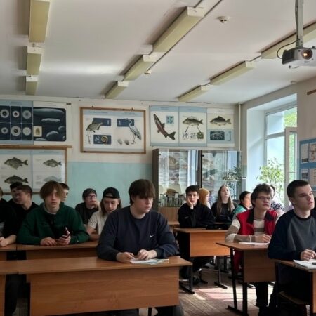 Первокурсники ДРТИ закрепили знания перед защитой проектов